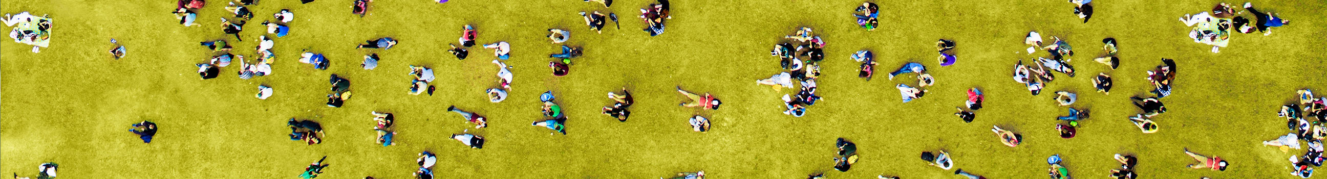 Video's en animaties