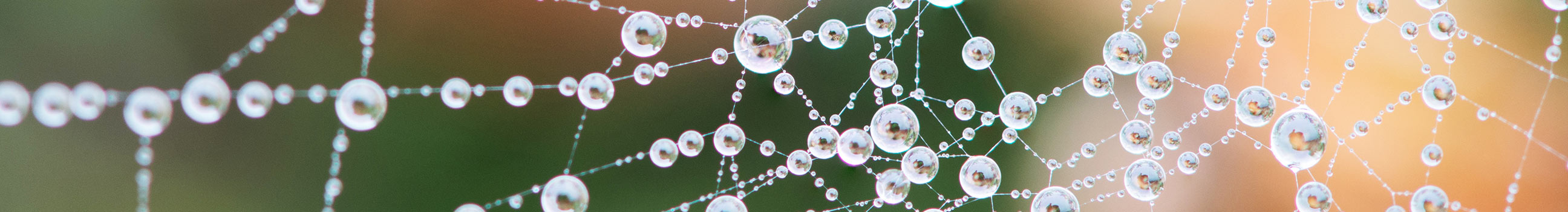 Marketingcommunicatie en campagnes