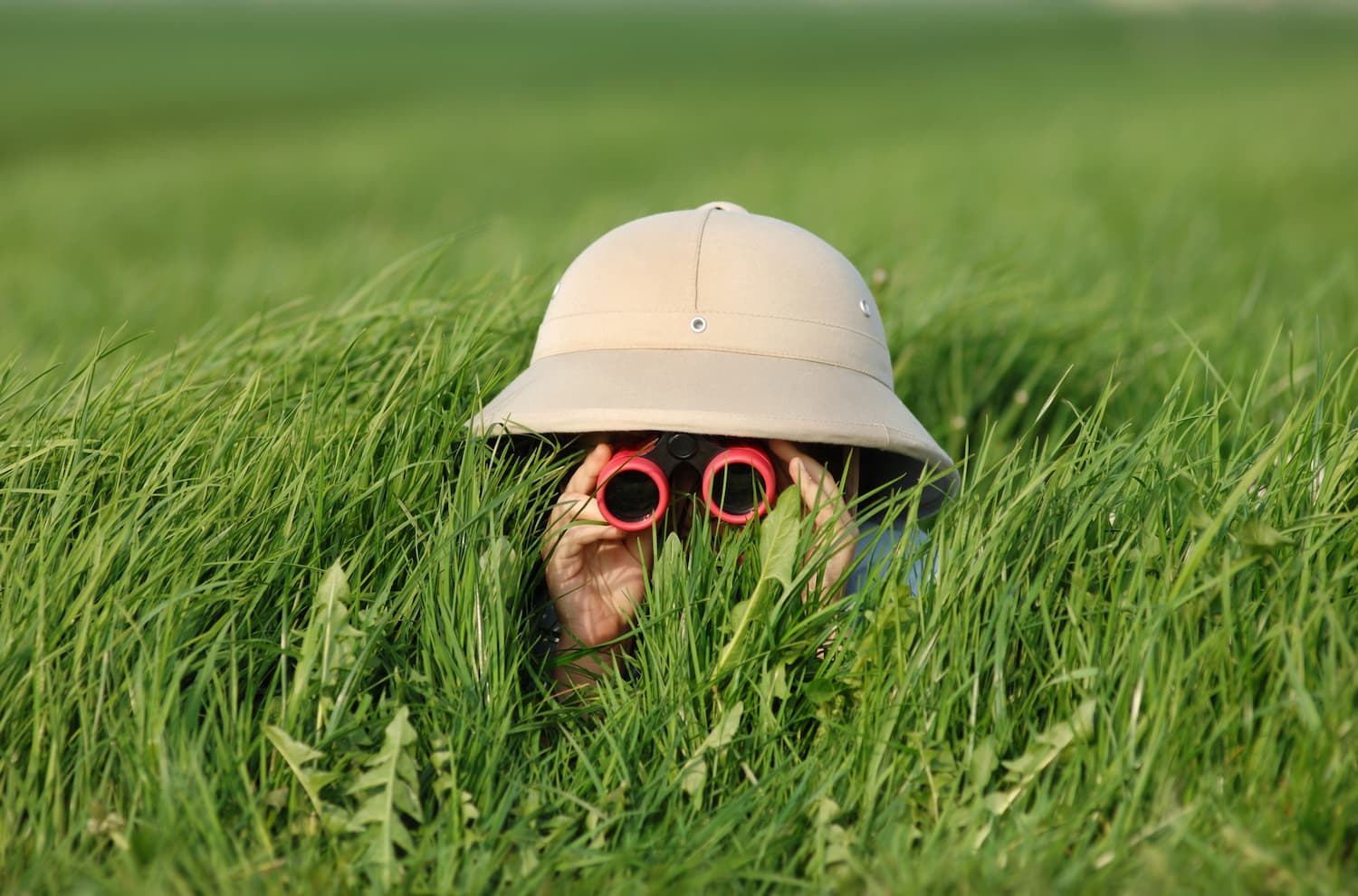 Gettyimages 157180213